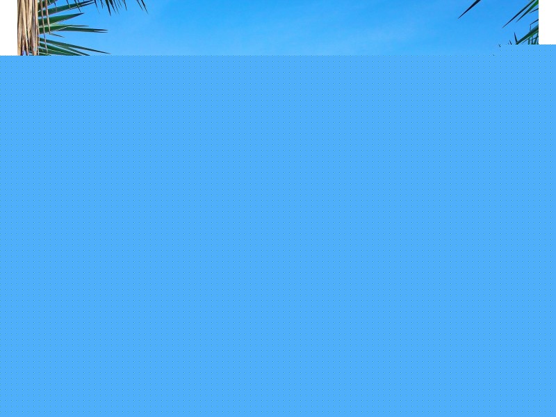 161 Musgrave Avenue, Labrador QLD 4215