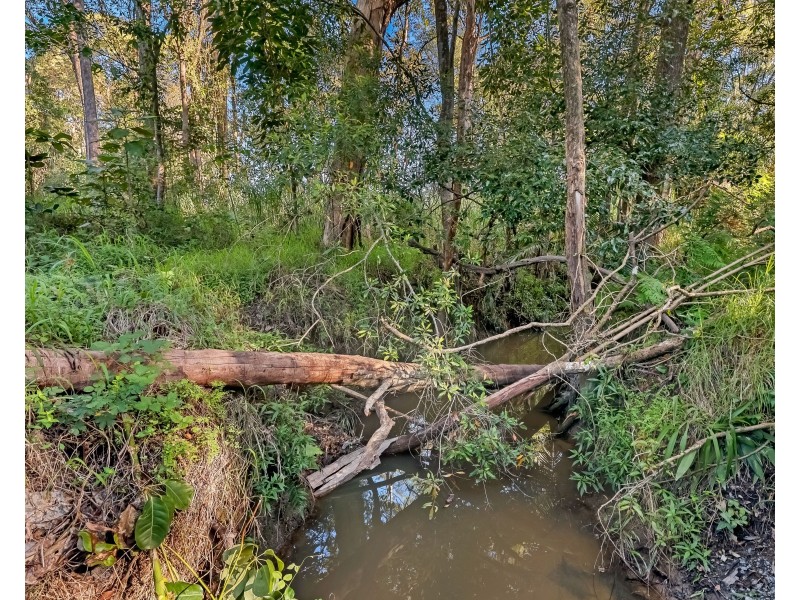 109 Sandy Creek Road, Yatala QLD 4207