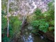 2 Clear River Boulevard, Ashmore QLD 4214
