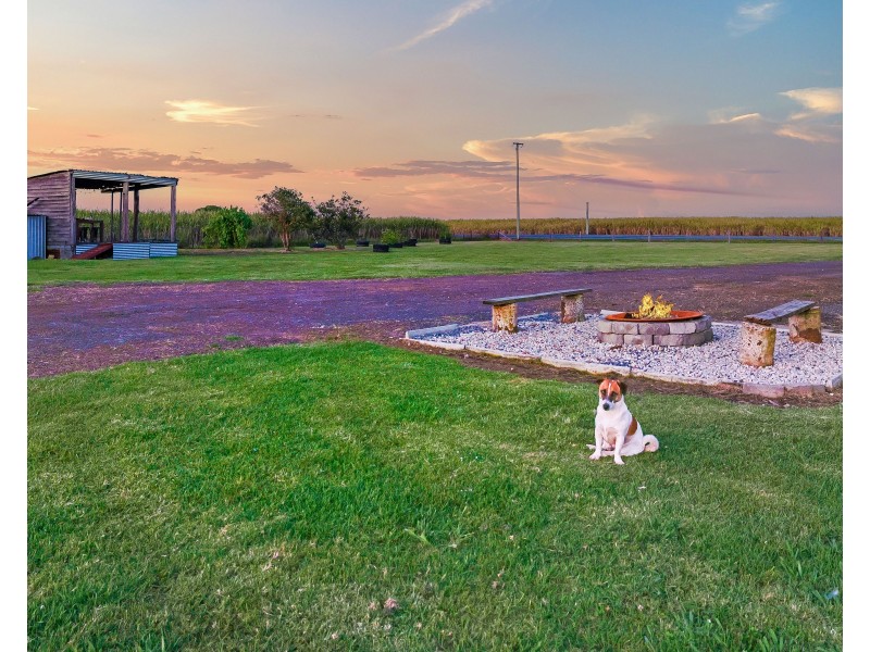 262 Norwell Road, Norwell QLD 4208