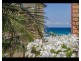 12/120 The Esplanade, Surfers Paradise QLD 4217