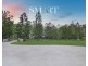 10 Yallanbee Court, Wongawallan QLD 4210