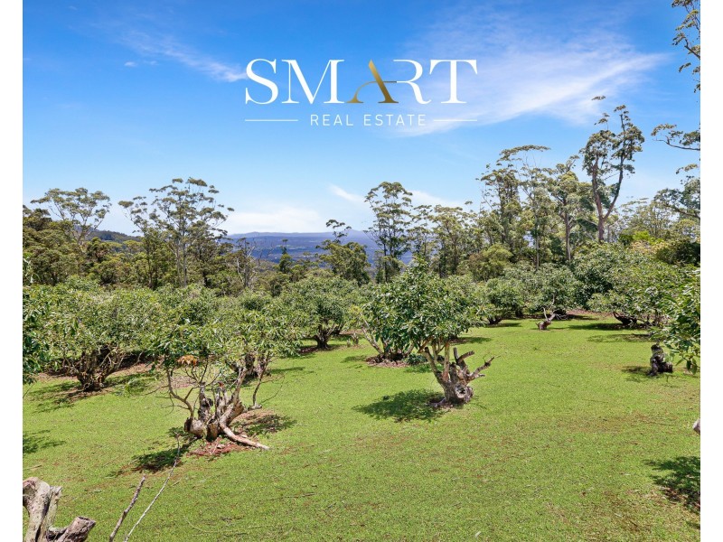 210-220 Macdonnell Road, Tamborine Mountain QLD 4272