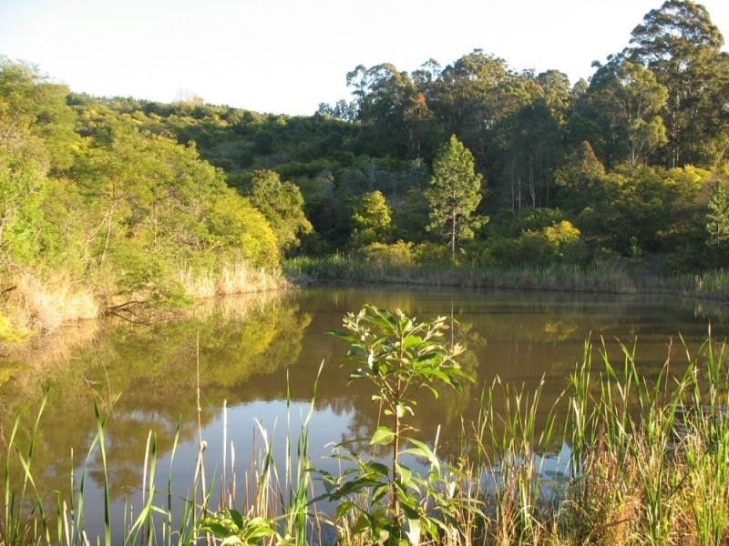 242 Grays Road, Halfway Creek NSW 2460