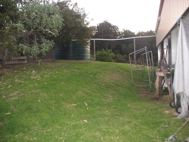 242 Grays Road, Halfway Creek NSW 2460