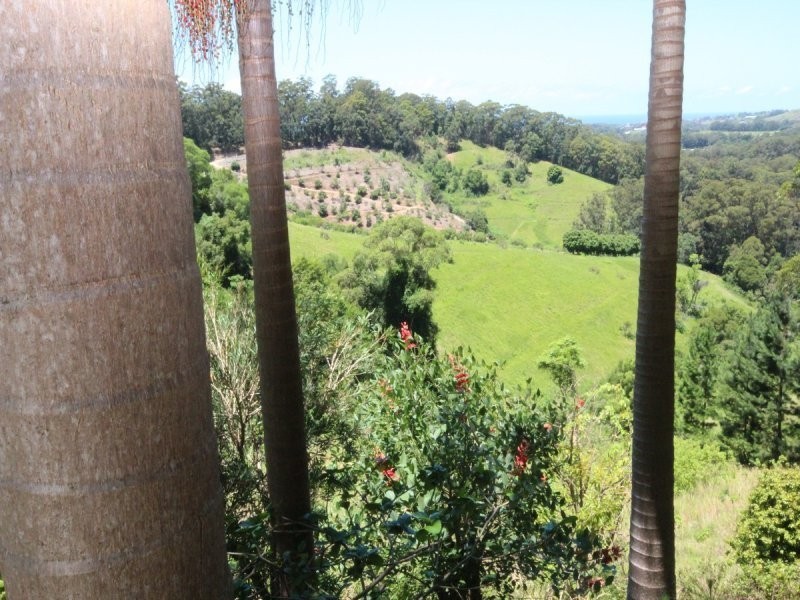 52 Lovetts Road, Korora NSW 2450