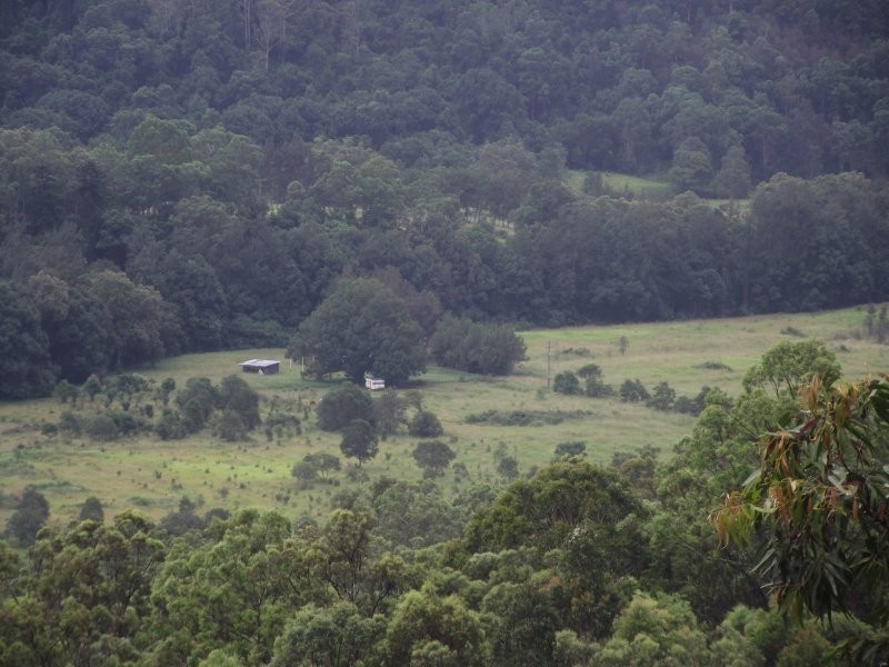 31 Persimmon Close, Glenreagh NSW 2450