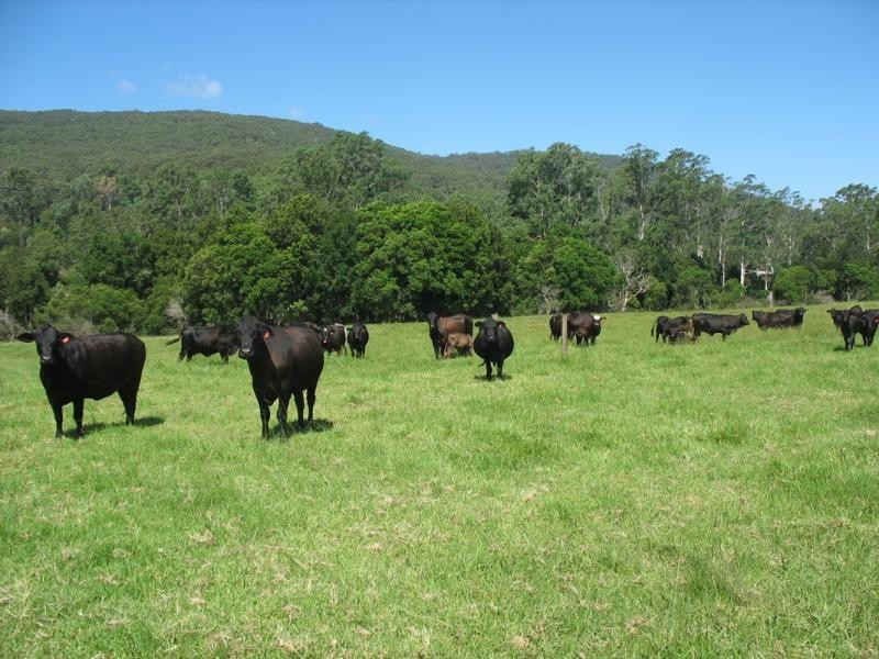 1638 Orara Way, Nana Glen NSW 2450