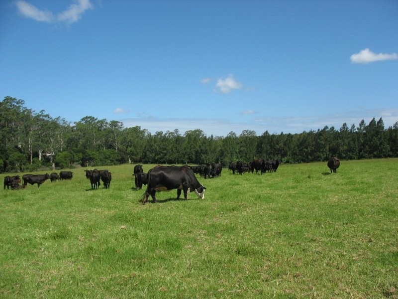 1638 Orara Way, Nana Glen NSW 2450