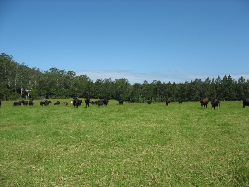 1638 Orara Way, Nana Glen NSW 2450