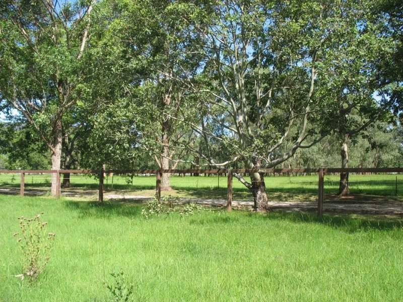 1638 Orara Way, Nana Glen NSW 2450