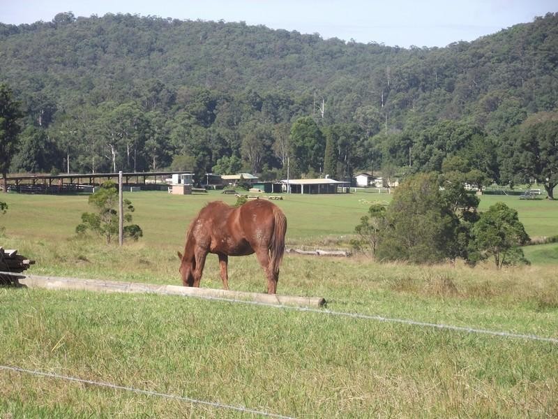 137 Morrows Road, Nana Glen NSW 2450