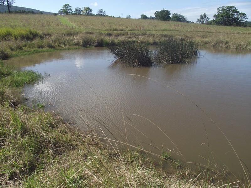 137 Morrows Road, Nana Glen NSW 2450