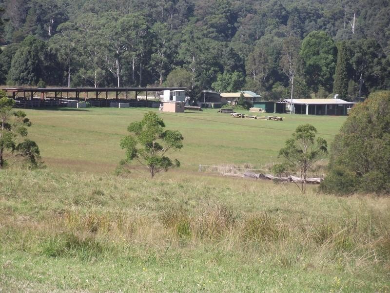 137 Morrows Road, Nana Glen NSW 2450