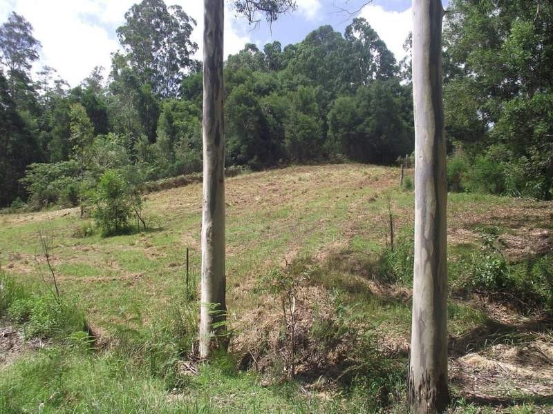 883 Camp Creek Road, Lowanna NSW 2450