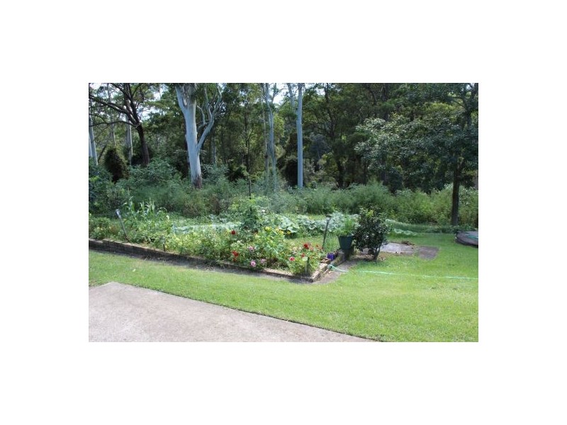 10 Woodward Street, Repton NSW 2454