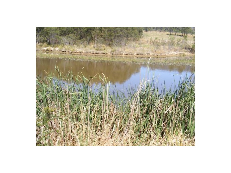 39 Persimmon Close, Glenreagh NSW 2450