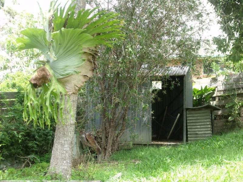 Sandy Beach NSW 2456