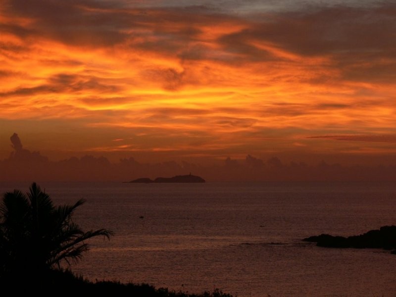 Coffs Harbour NSW 2450