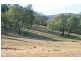 1035 Moore Creek Road, Tamworth NSW 2340