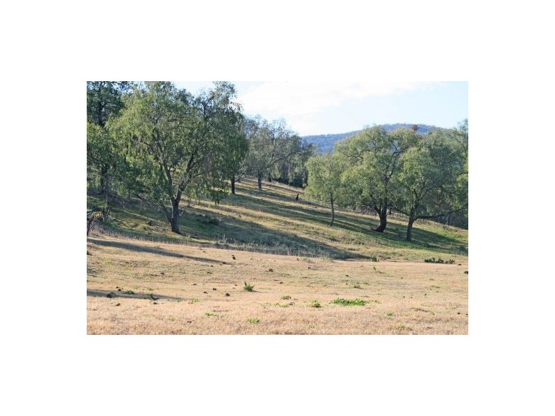 1035 Moore Creek Road, Tamworth NSW 2340