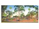 Tamworth NSW 2340