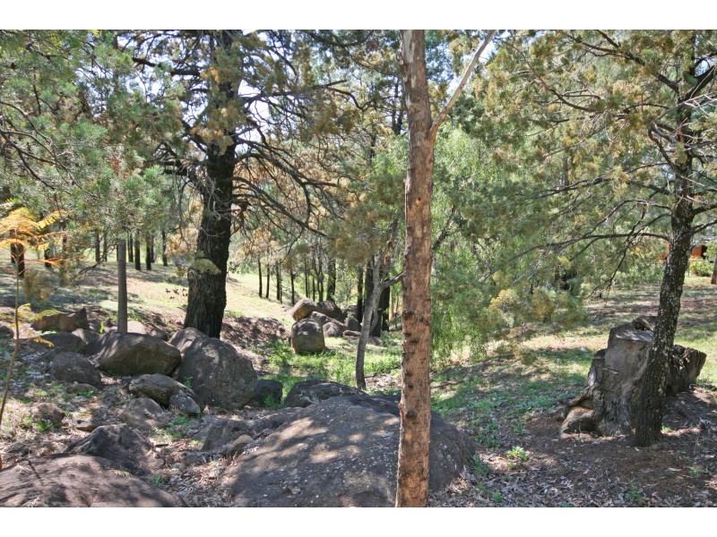 98 Dunoon Road, Moore Creek NSW 2340