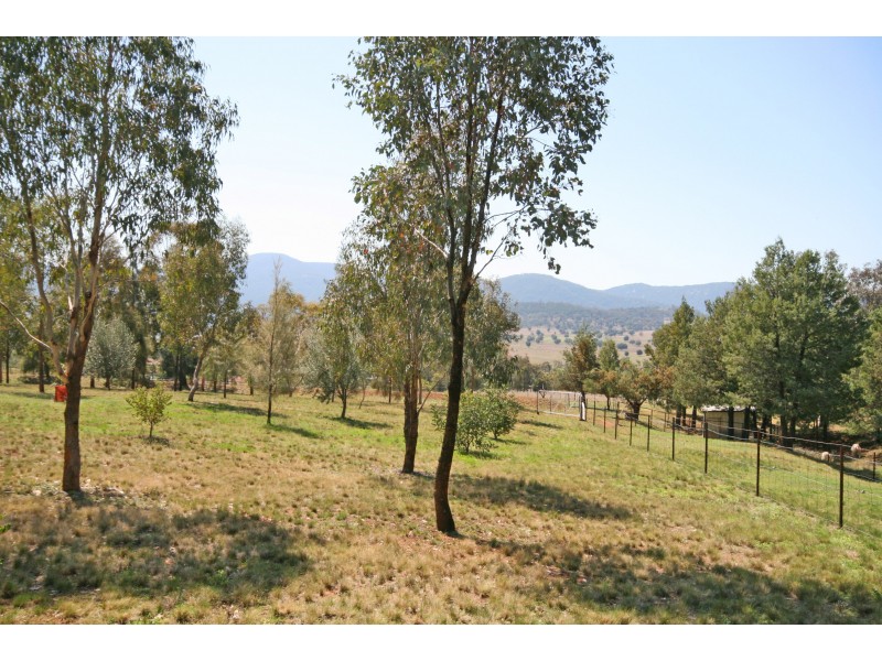 98 Dunoon Road, Moore Creek NSW 2340