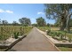 Nemingha NSW 2340