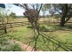 Nemingha NSW 2340