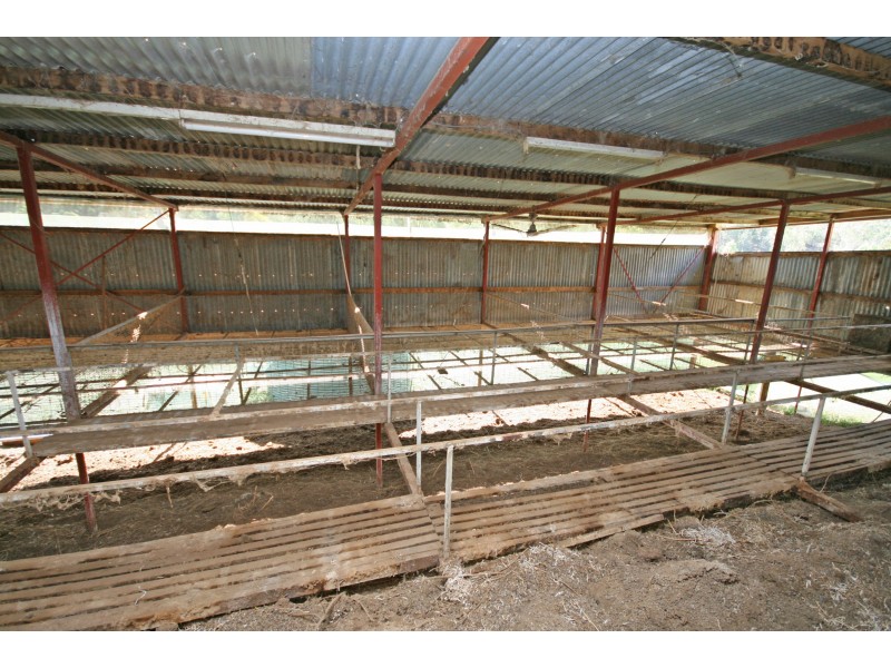 454 New England Gully Road, Moonbi NSW 2353