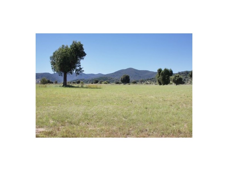 Moore Creek NSW 2340