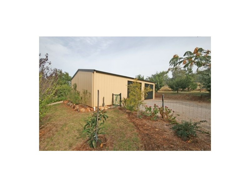 31 Leehy Court, Tamworth NSW 2340