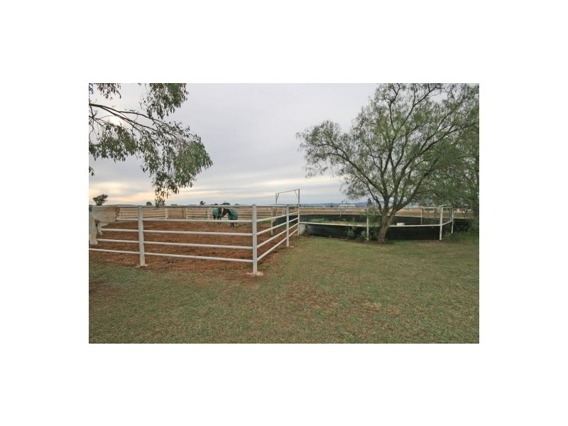 50A Oxley Lane, Tamworth NSW 2340