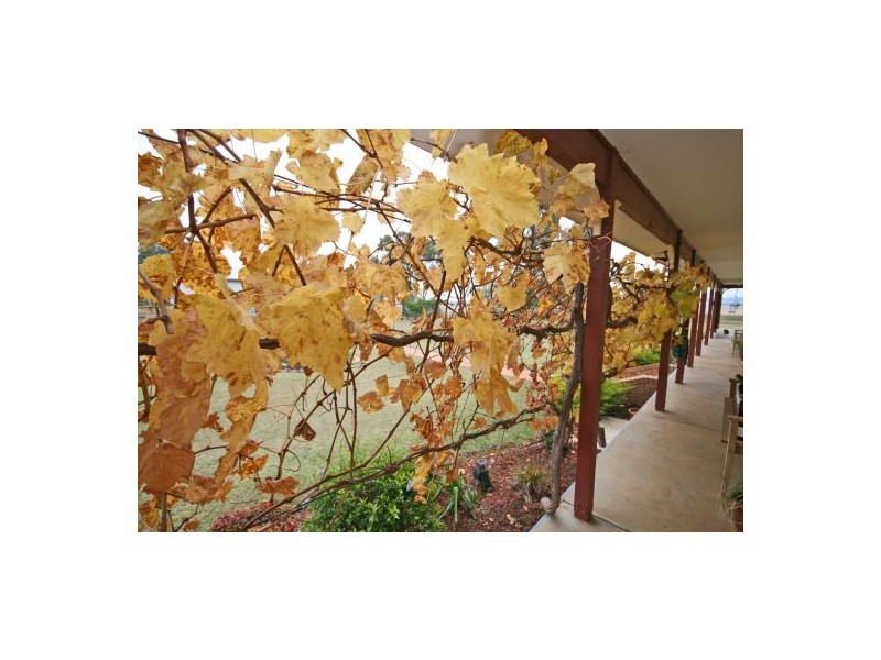 50A Oxley Lane, Tamworth NSW 2340