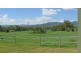 114 Ormans Lane, Tamworth NSW 2340