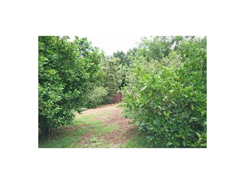 20 Victoria Street, Tamworth NSW 2340