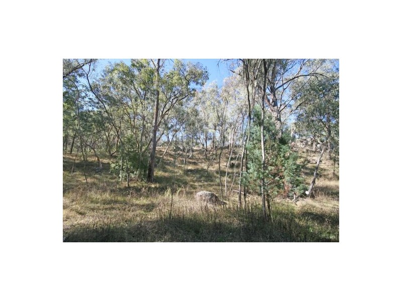 471 “Treetop” New England Gully Road, Moonbi NSW 2353