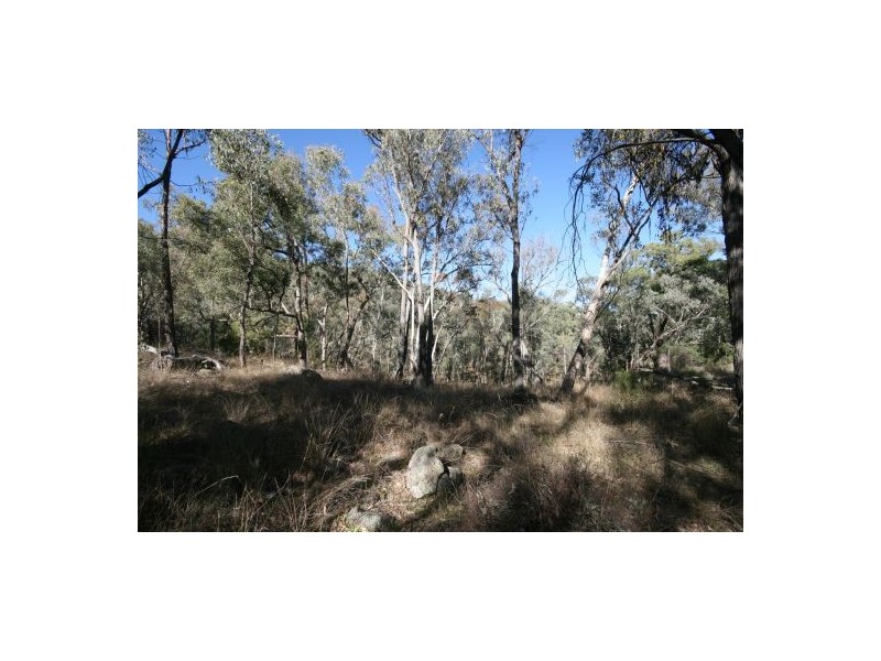 471 “Treetop” New England Gully Road, Moonbi NSW 2353
