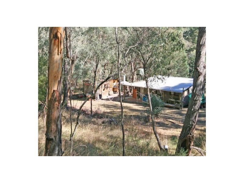 471 “Treetop” New England Gully Road, Moonbi NSW 2353