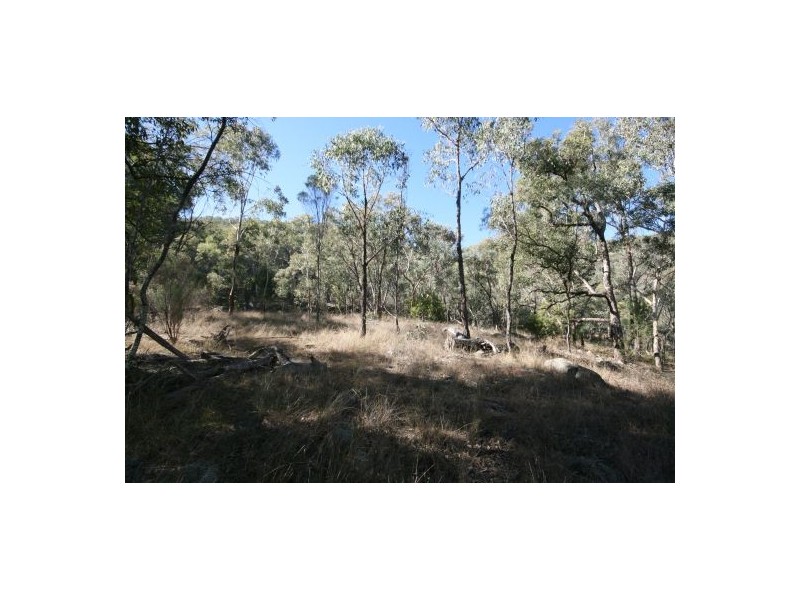 471 “Treetop” New England Gully Road, Moonbi NSW 2353