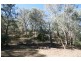 471 “Treetop” New England Gully Road, Moonbi NSW 2353