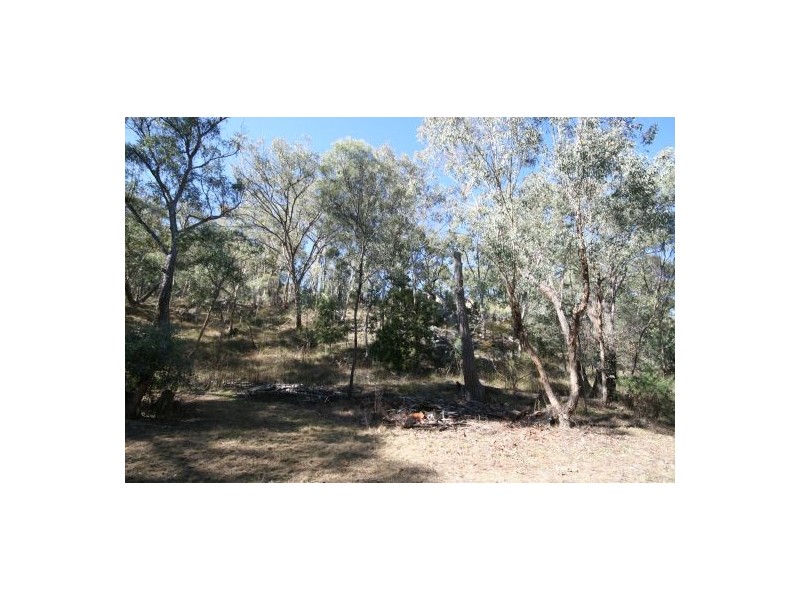 471 “Treetop” New England Gully Road, Moonbi NSW 2353