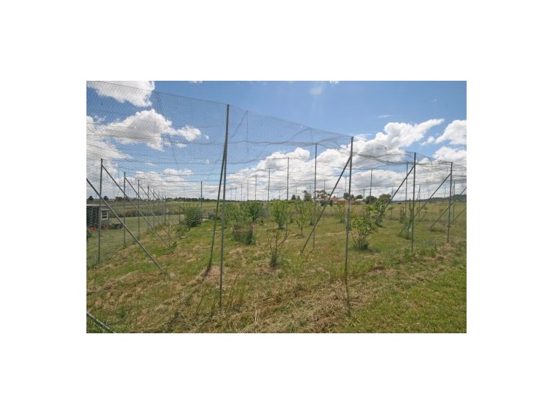 104 Attunga Street, Attunga NSW 2345