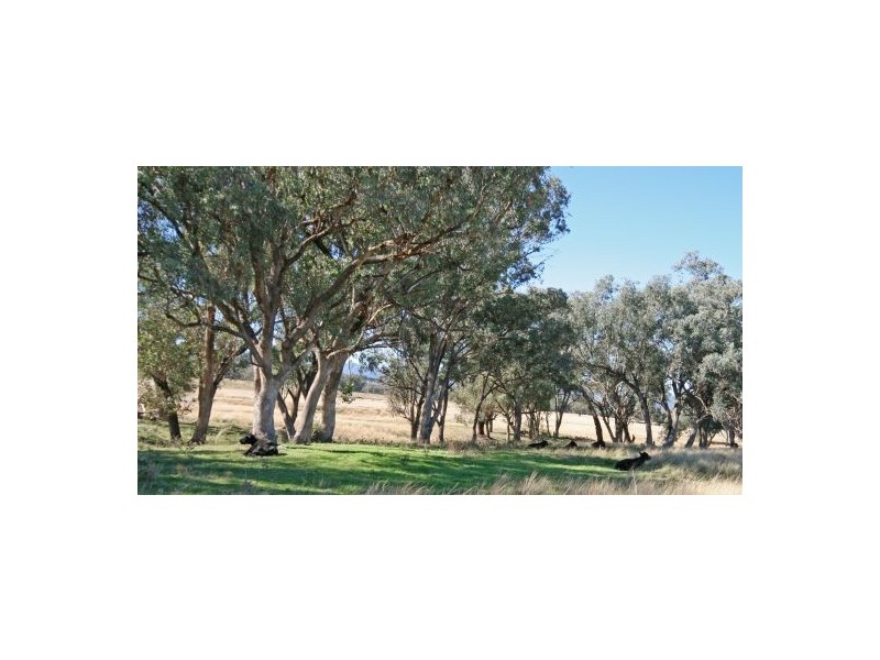 168 Yarrol Road, Kootingal NSW 2352