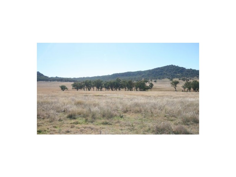 168 Yarrol Road, Kootingal NSW 2352