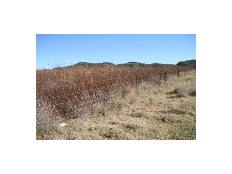 168 Yarrol Road, Kootingal NSW 2352