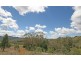 Lot 162 Catherine Way, Daruka NSW 2340