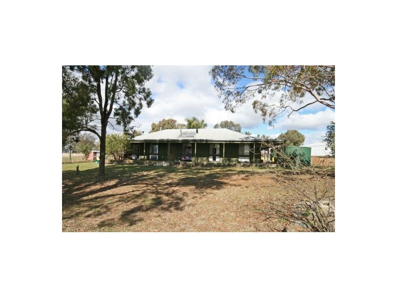 986 Duri-Dungowan Road “Tolivar”, Timbumburi NSW 2340