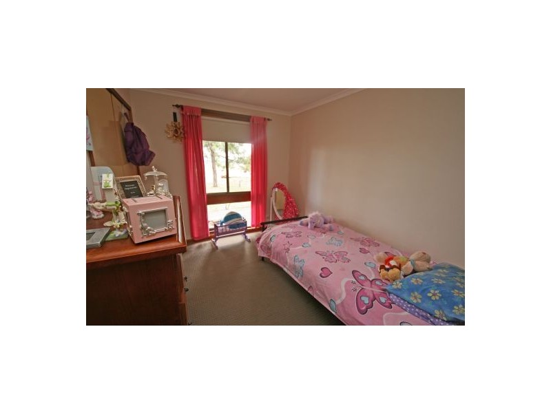 986 Duri-Dungowan Road “Tolivar”, Timbumburi NSW 2340